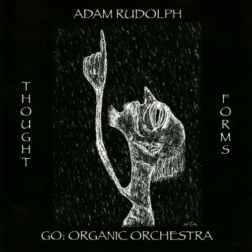 Adam Rudolph / Go: Organic Orchestra — Thought Forms