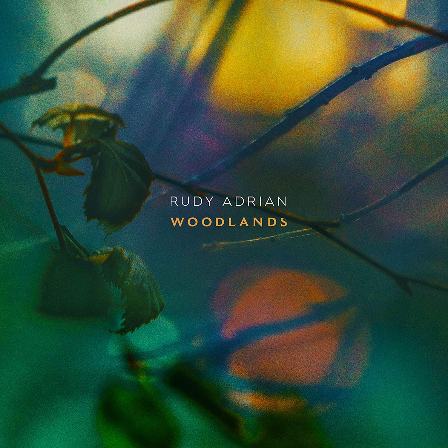 Woodlands Cover art