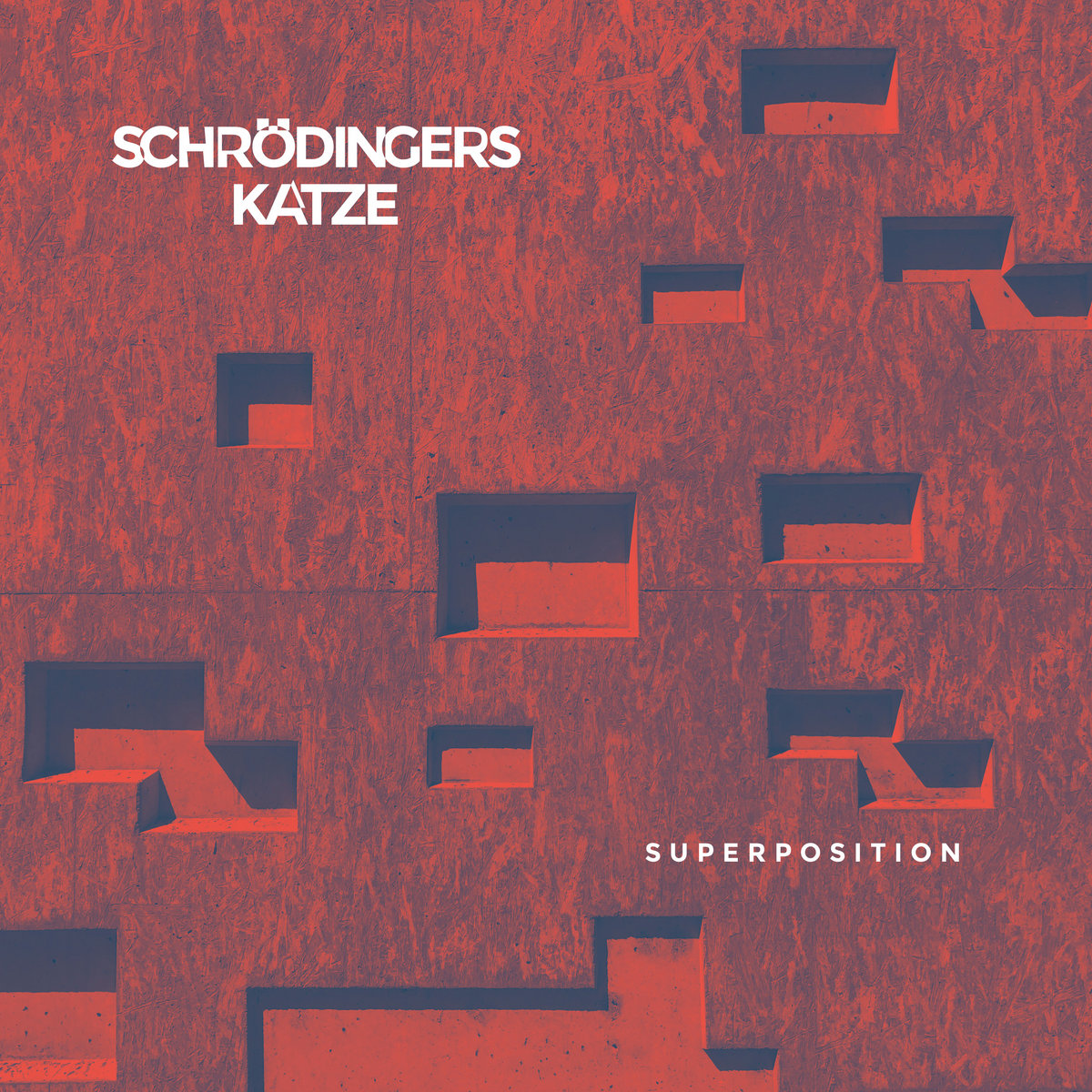 Schrödingers Katze &mdash; Superposition