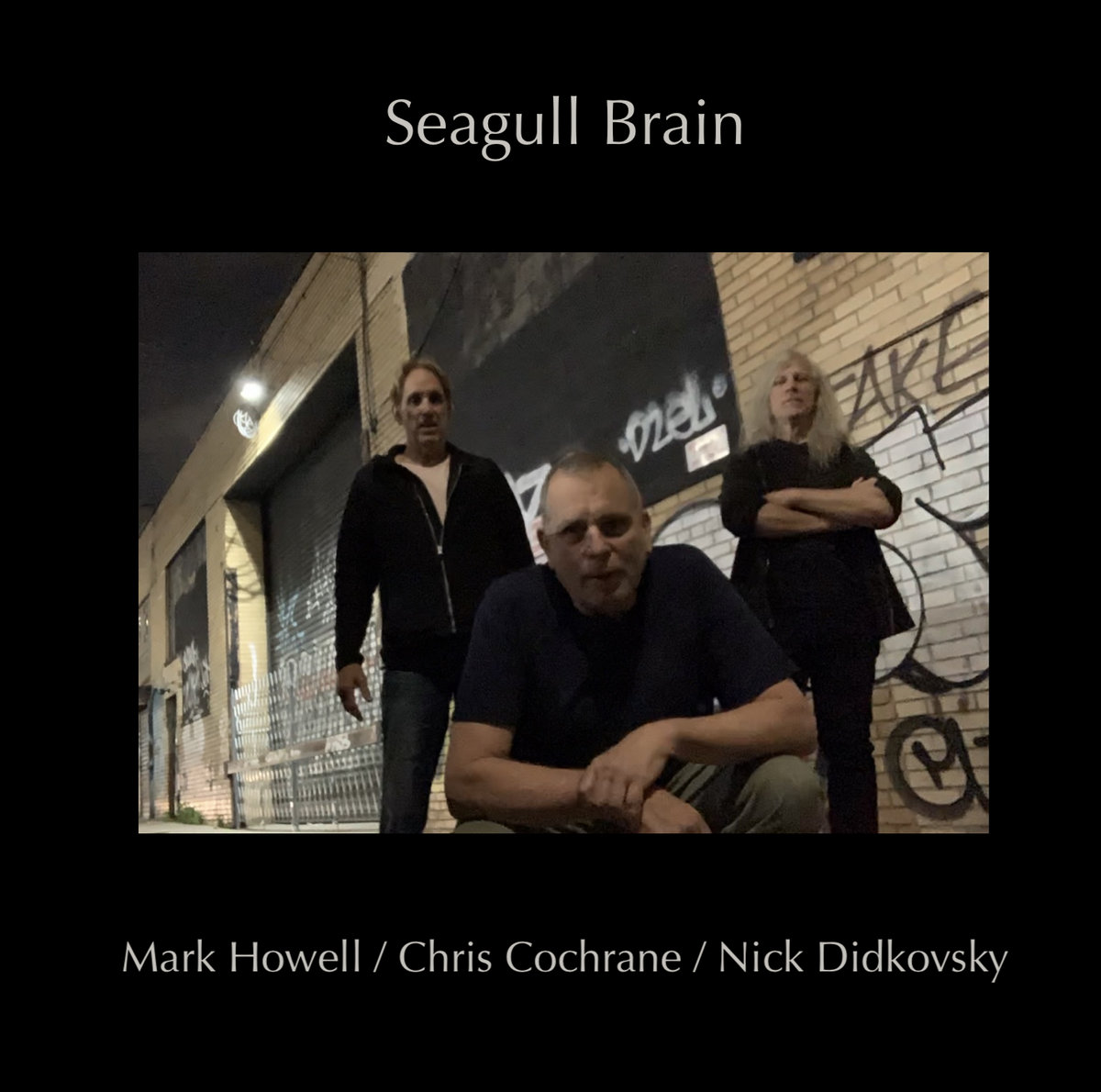 Seagull Brain — Seagull Brain