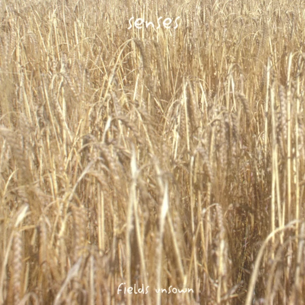 Fields Unsown Cover art