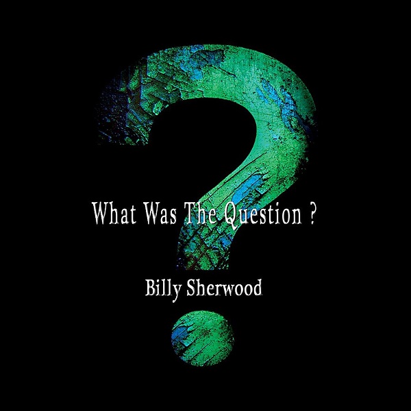 Billy Sherwood — What Was the Question?
