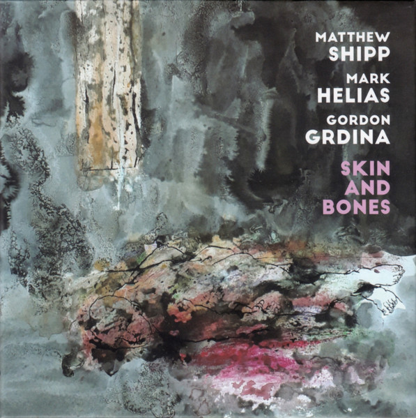 Matthew Shipp / Mark Helias / Gordon Grdina — Skin and Bones