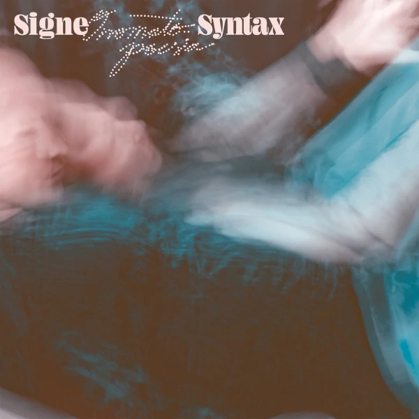 Signe — Syntax