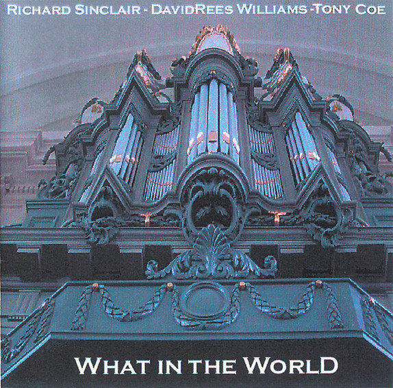 Richard Sinclair / David Rees Williams / Tony Coe — What in the World