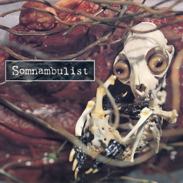 Somnambulist — Somnambulist