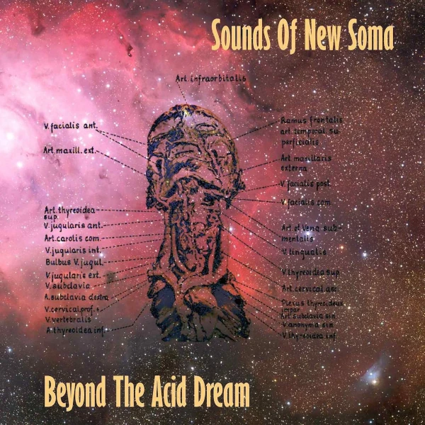 Sounds of New Soma — Beyond the Acid Dream