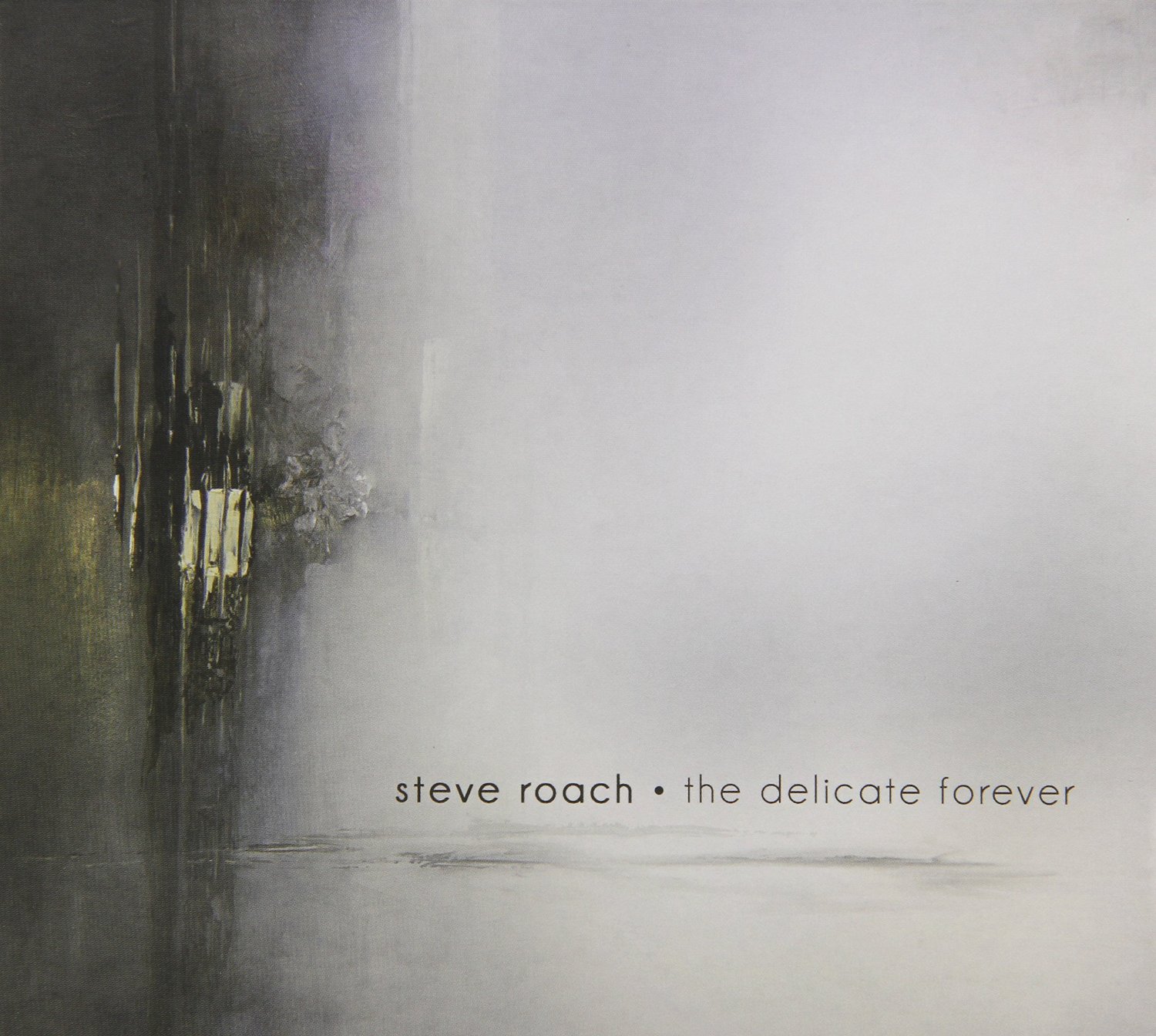 Steve Roach — The Delicate Forever