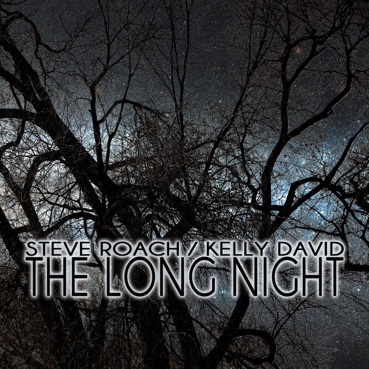 Steve Roach / Kelly David — The Long Night