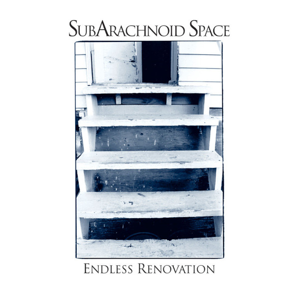 Subarachnoid Space — Endless Renovation