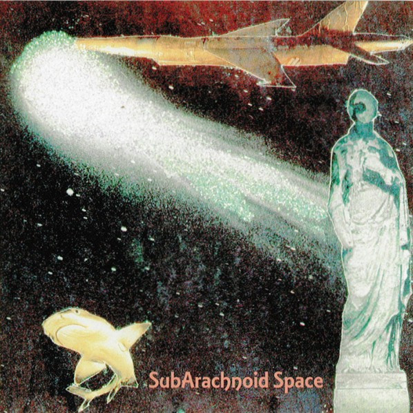 Subarachnoid Space — Ether Or