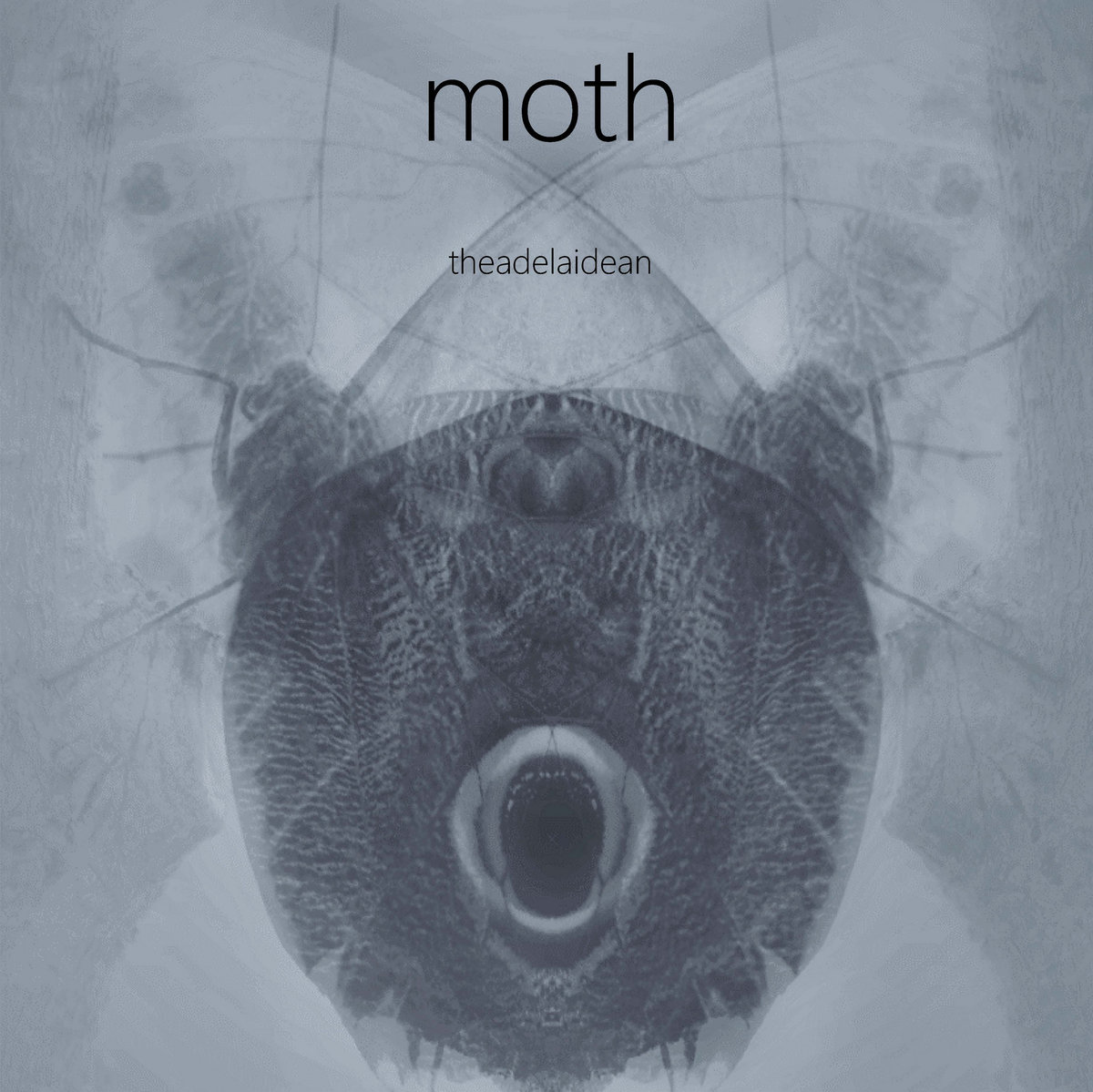 The Adelaidean  — Moth