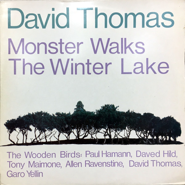 David Thomas and the Wooden Birds — Monster Walks the Winter Lake