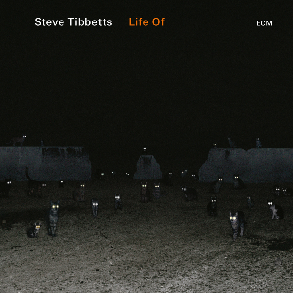 Steve Tibbetts — Life Of