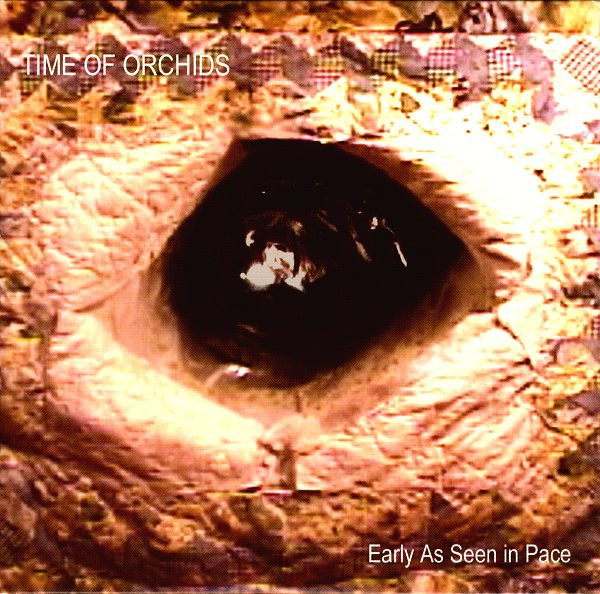 Time of Orchids — Early as Seen in Place