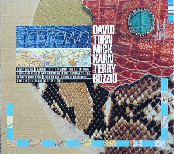 David Torn / Mick Karn / Terry Bozzio — Polytown