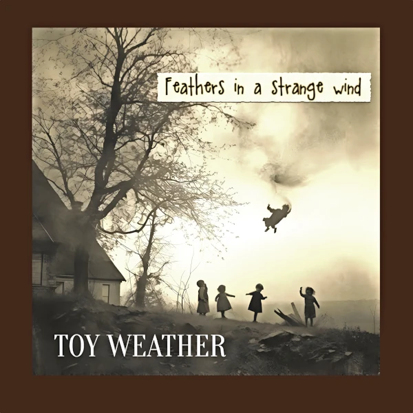 Toy Weather &mdash; Feathers in a Strange Wind