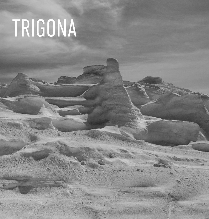 Trigona Cover art
