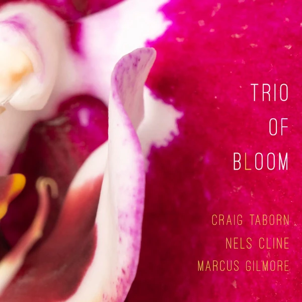 Trio of Bloom &mdash; Trio of Bloom