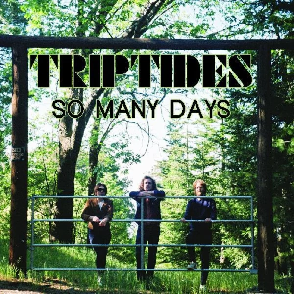 Triptides — So Many Days