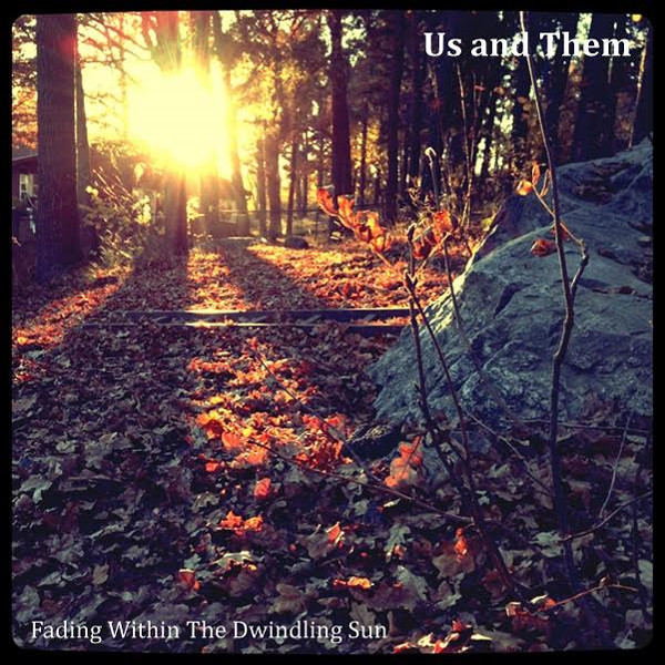 Fading within the Dwindling Sun Cover art