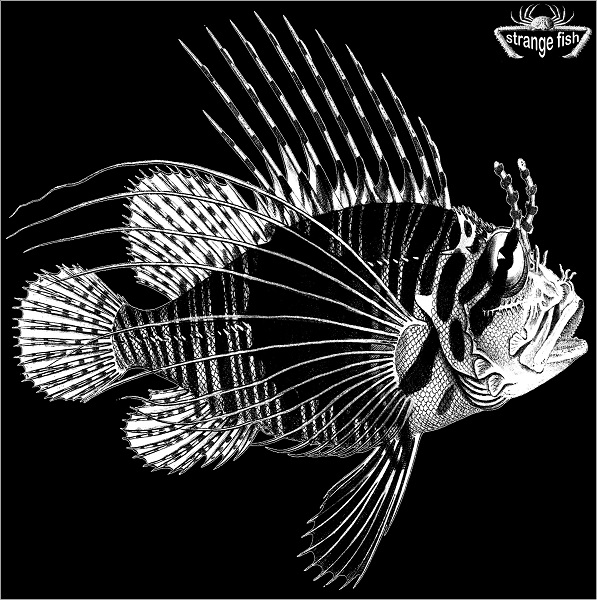 Various Artists — Strange Fish Three