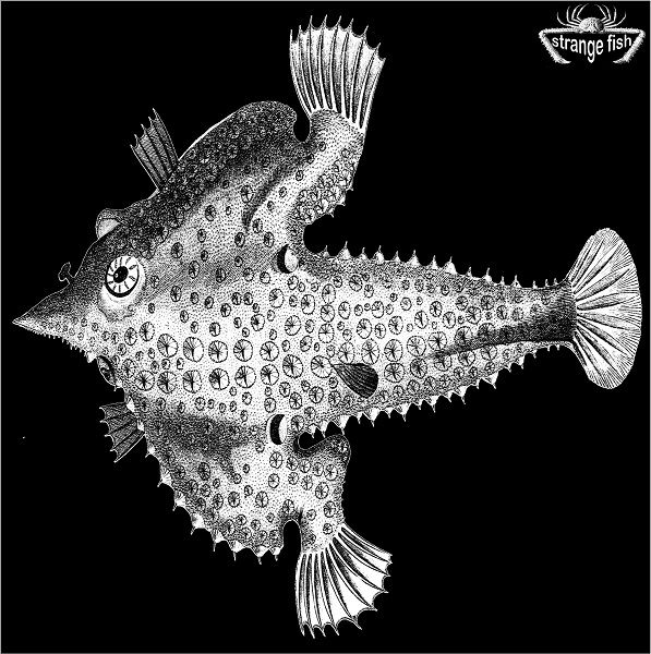 Various Artists — Strange Fish Four