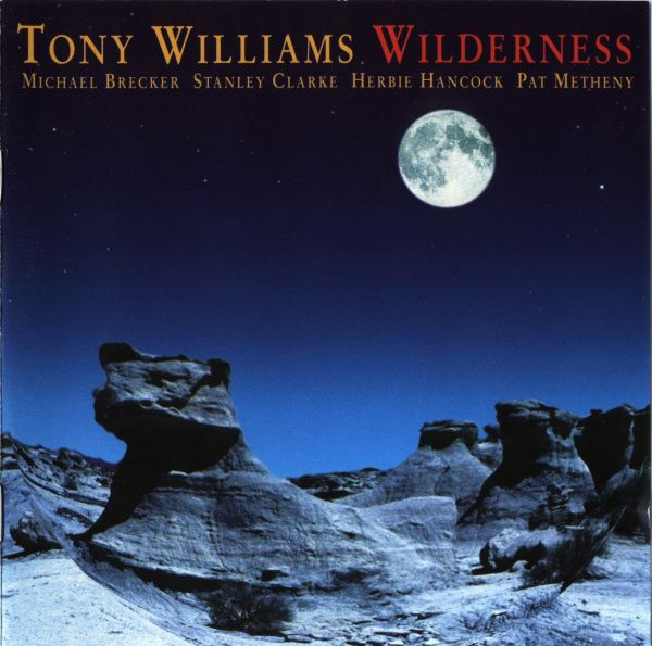 Tony Williams — Wilderness