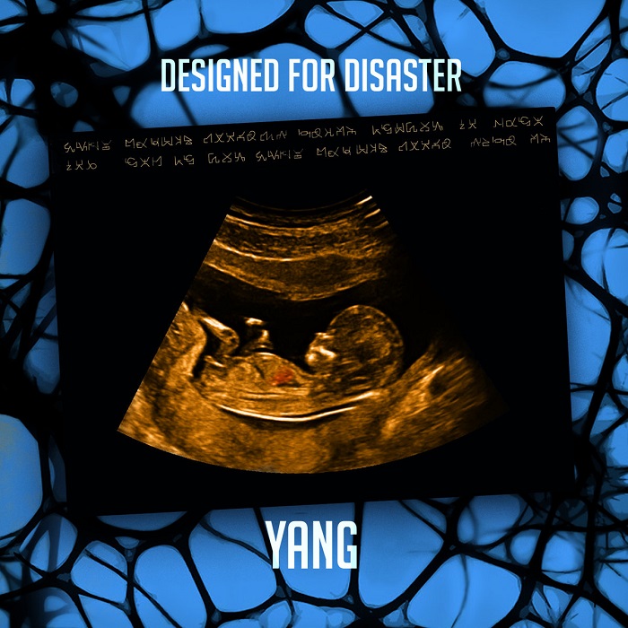 Yang — Designed for Disaster