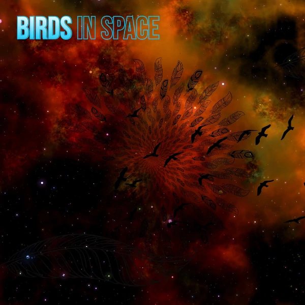 Birds in Space Cover art