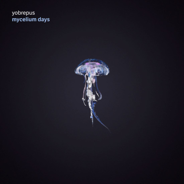Yobrepus — Mycelium Days